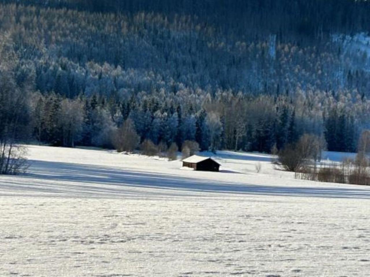 Annas B&B Järvsö Exteriör bild
